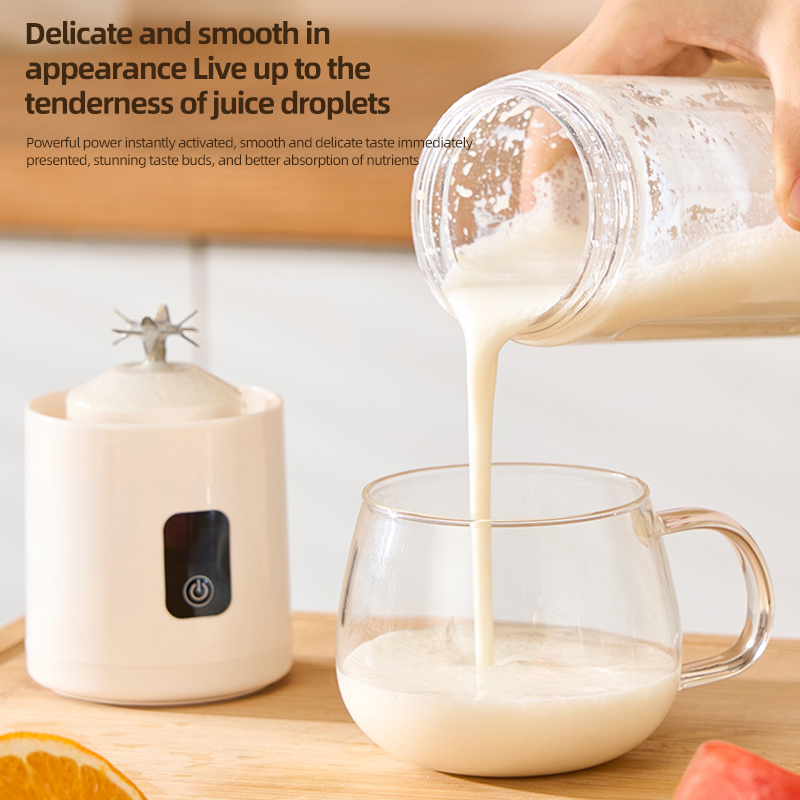 Portable Fruit Juice Blenders  - Immersion Hand Blender Set 评论和价格